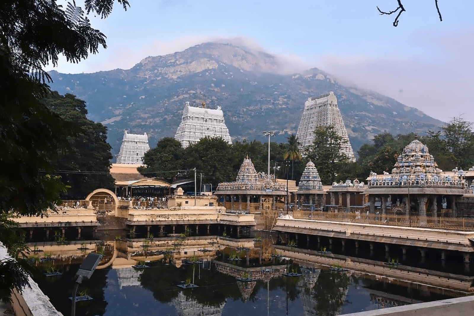 Arunachala Shiva Hill